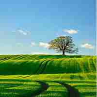 怎​样​才‌能﻿快﻿速‌止‍咳​小‍妙‌招​